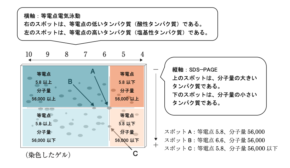 解説画像
